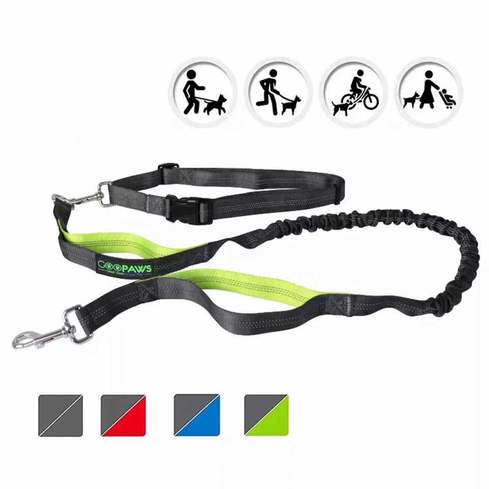 JESPET Hands-Free Dog Leash with Reflective Bungee, Medium/Large Dogs - Pets Perfect