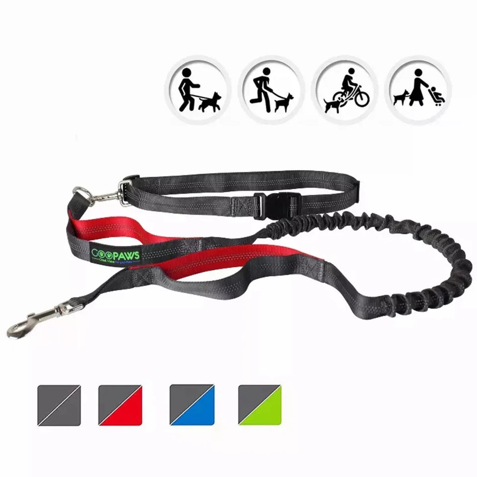 JESPET Hands-Free Dog Leash with Reflective Bungee, Medium/Large Dogs - Pets Perfect