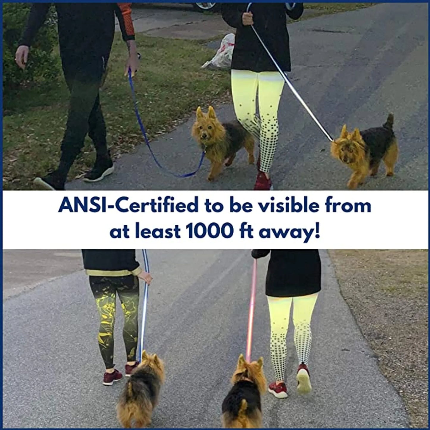 Da Boon Original Double - Sided Reflective Leash - Pets Perfect