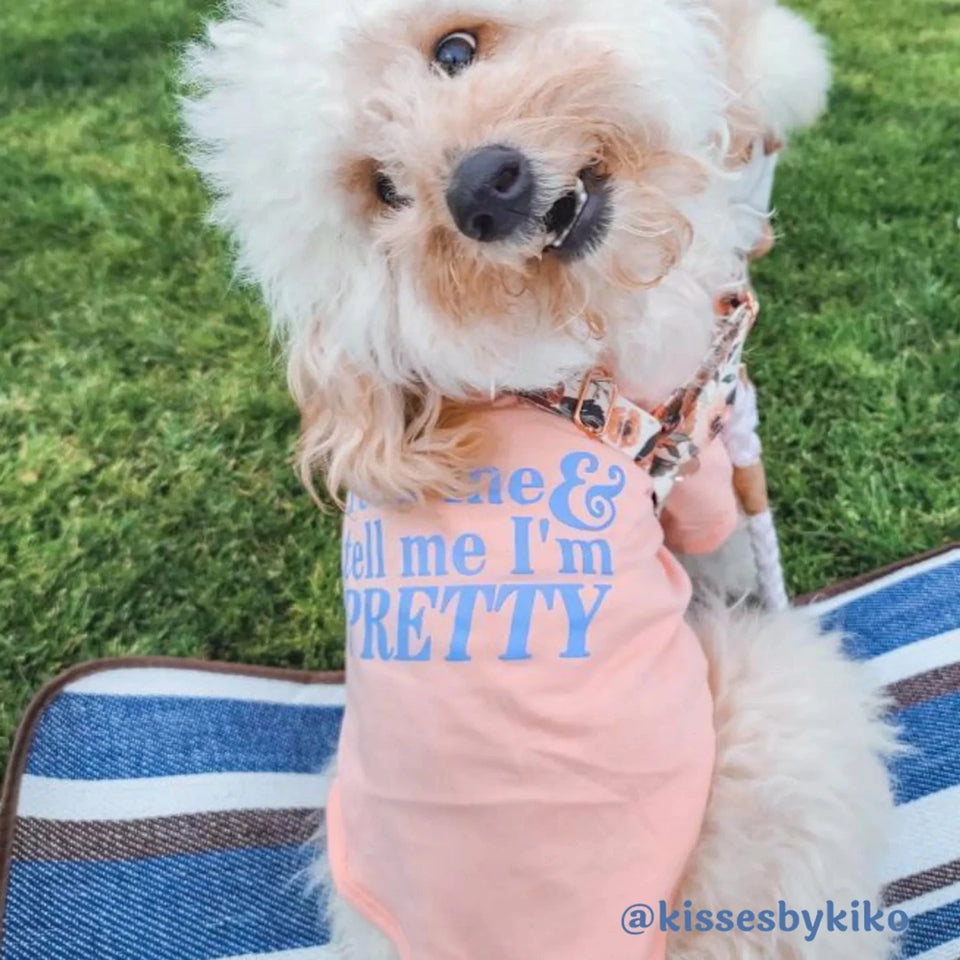 The Essential T-Shirt - "Feed Me & Tell Me I'm Pretty", Dog Tee - Pets Perfect