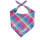 Colorful Plaid Bandana | Rainbow Dog Bandana