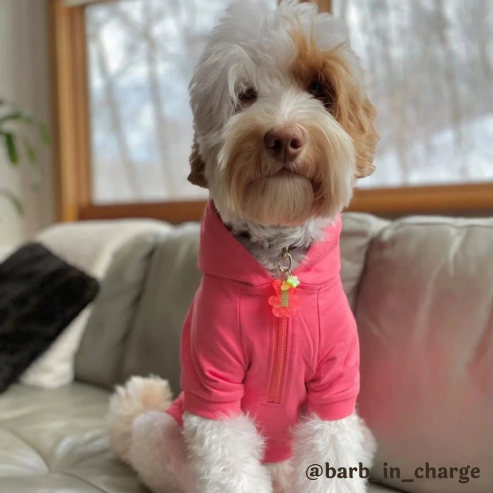The Everyday Hoodie - "Cute AF", Zip-Up Dog Hoodie - Pets Perfect