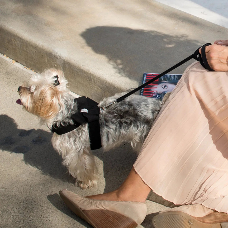Susan Lanci Designs Plain Dog Leash, view 8