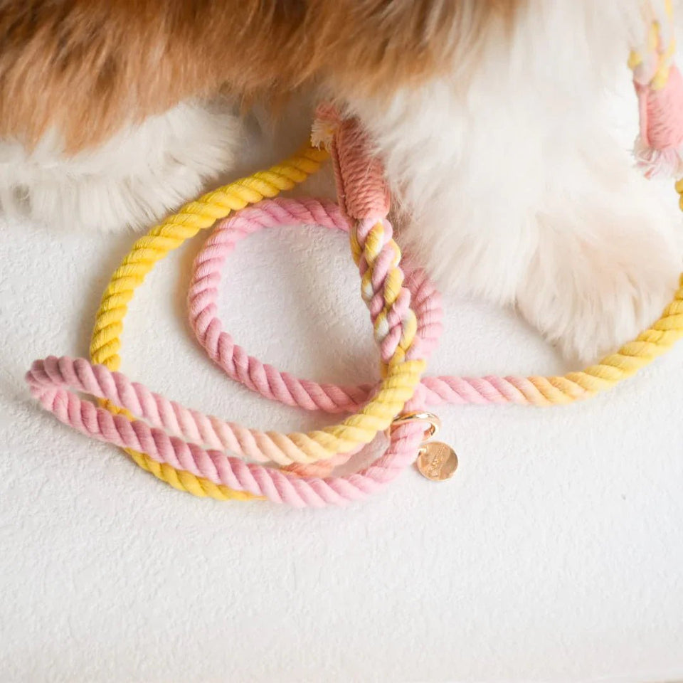Hands-Free Dog Rope Dog Leash - Oh My Marshmallow, view 2