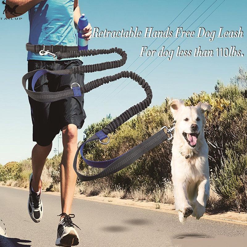 Ultimate Hands - Free Reflective Dog Leash With Multi - Function Features - Pets Perfect