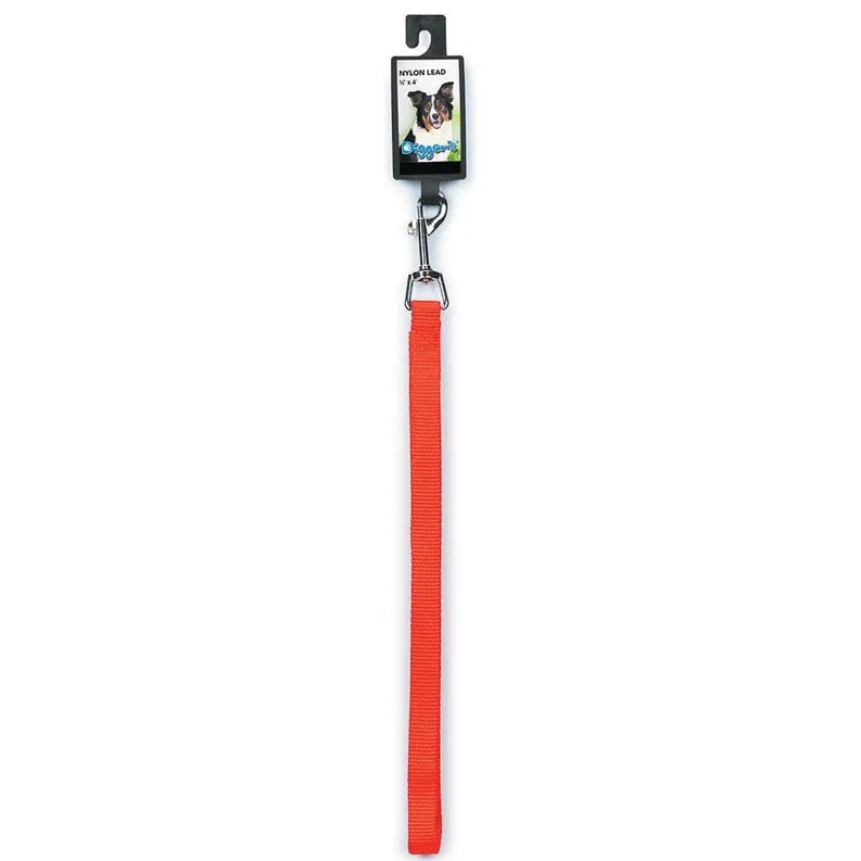 DGR 5/8 in Nylon Lead 48 in Neon Org - Pets Perfect