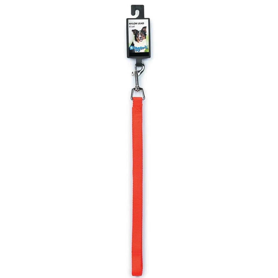 DGR 5/8 in Nylon Lead 48 in Neon Org - Pets Perfect