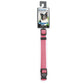 DGR 5/8in Nylon Collar 16in Neon Pink