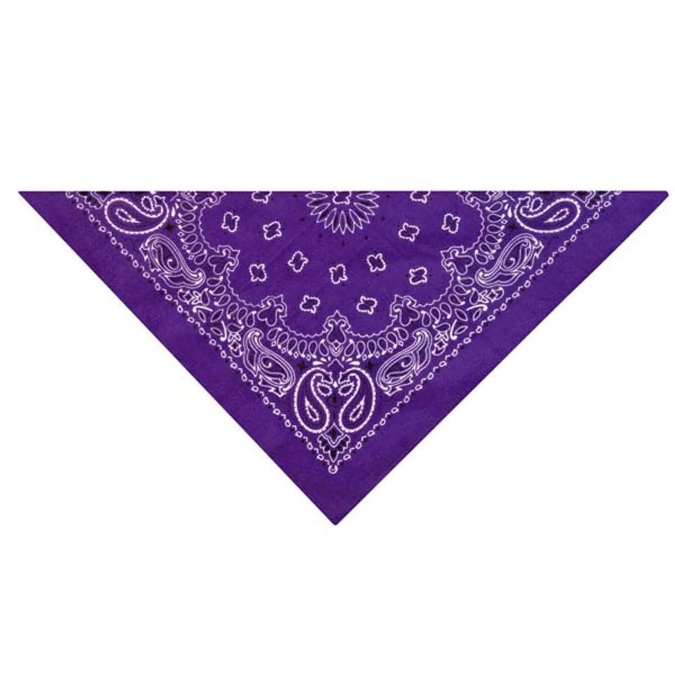 Top Performance Paisley Dog Bandana, 7 Colors, Light blue/1, view 3