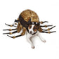 ZZ Fuzzy Tarantula Costume - Pets Perfect