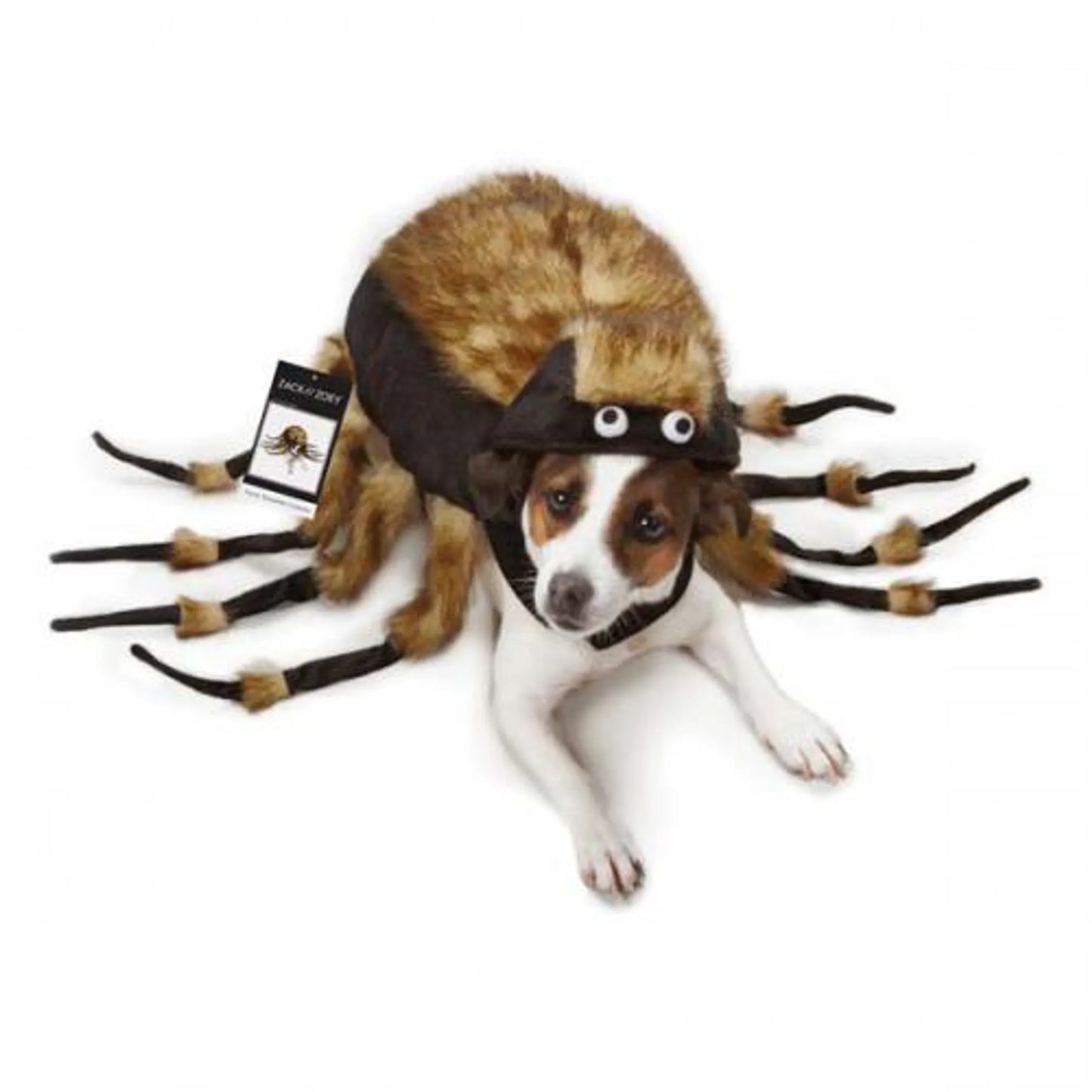 ZZ Fuzzy Tarantula Costume - Pets Perfect