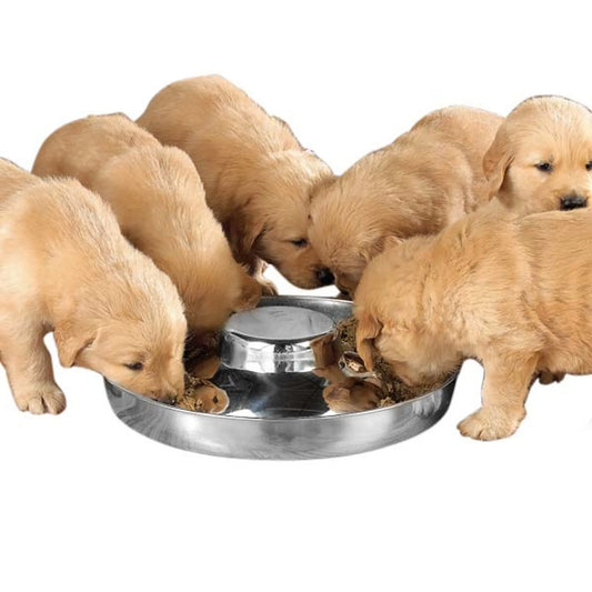 ProSelect Puppy Dish | 14.5 Inch Dog Bowl for Medium Puppies and Growing Dogs