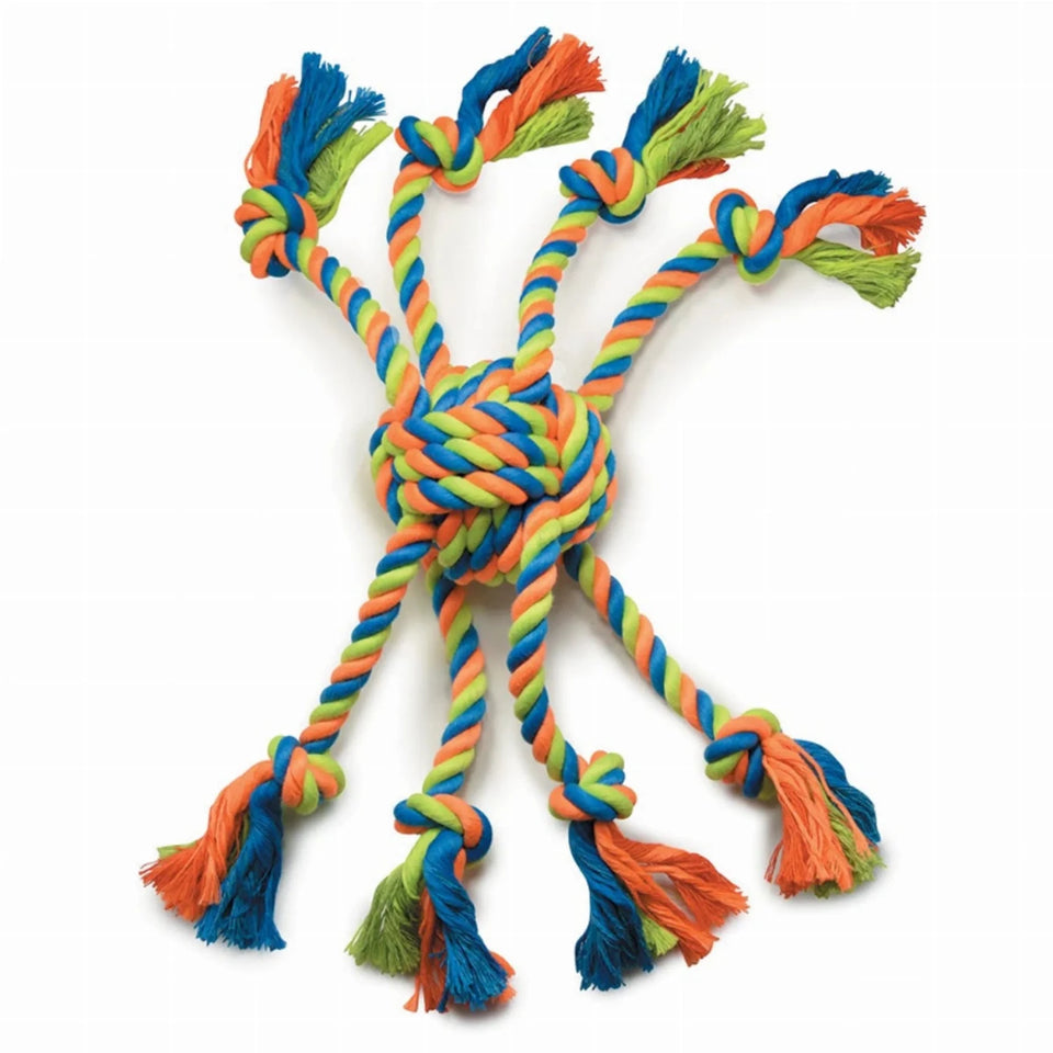 GR Mighty Bright Crazy Eight - Pets Perfect