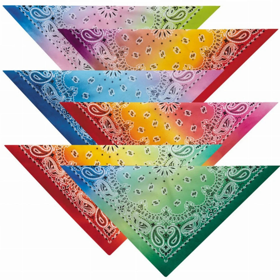 AR Paisley Bandana Blue/Dk Green, view 5