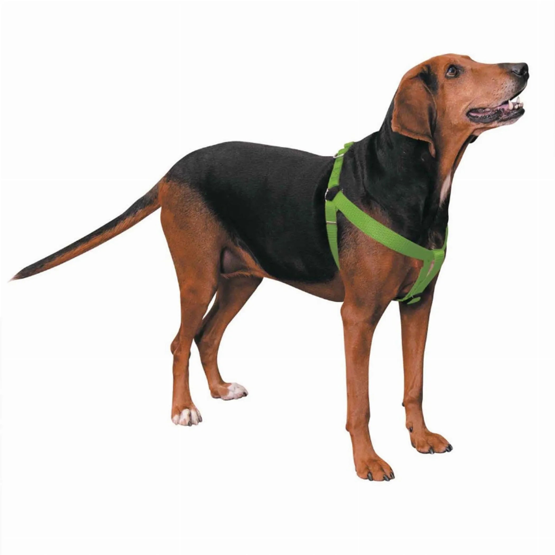 CC Nylon 2 Step Harness 15-25In Blk