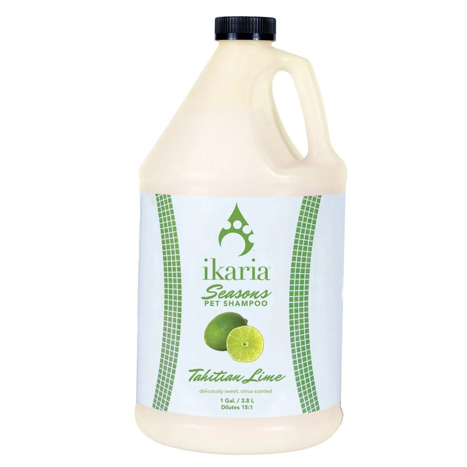 IK Seasons Tahitian Lime Shamp gal, view 3