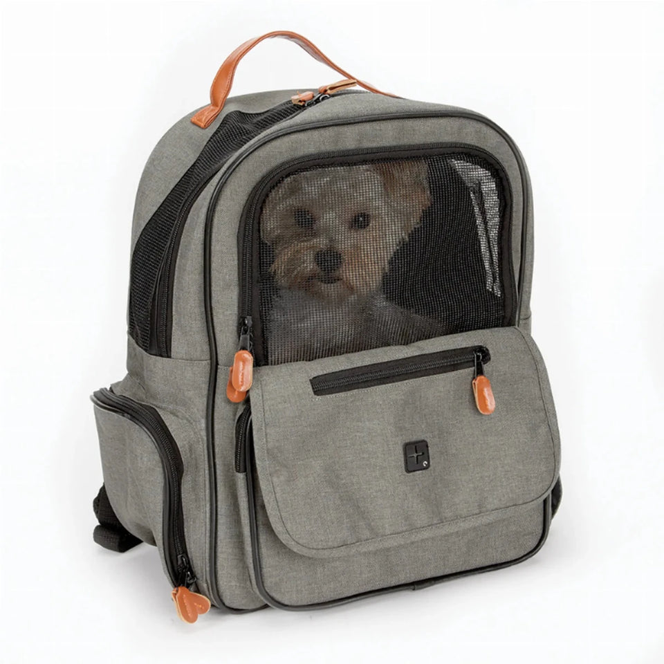 CR On the Go Backpack - Pets Perfect