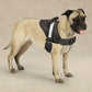 Guardian Gear Excursion Harnesses 36 - 46In - Pets Perfect
