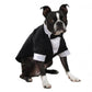 Boston Terrier dog wearing East Side Coll Yappily Ever After Groom Tux with bow tie sitting on white background
