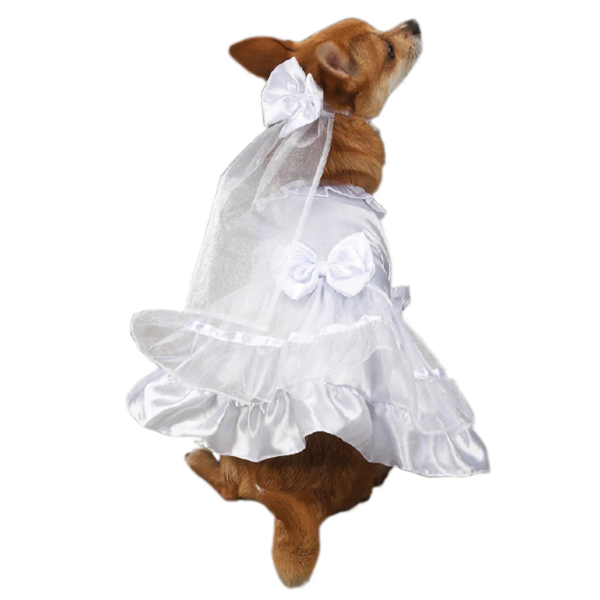 Dog wearing a white satin and lace East Side Coll Yappily Ever After Wedding Dress with bows and veil accessory