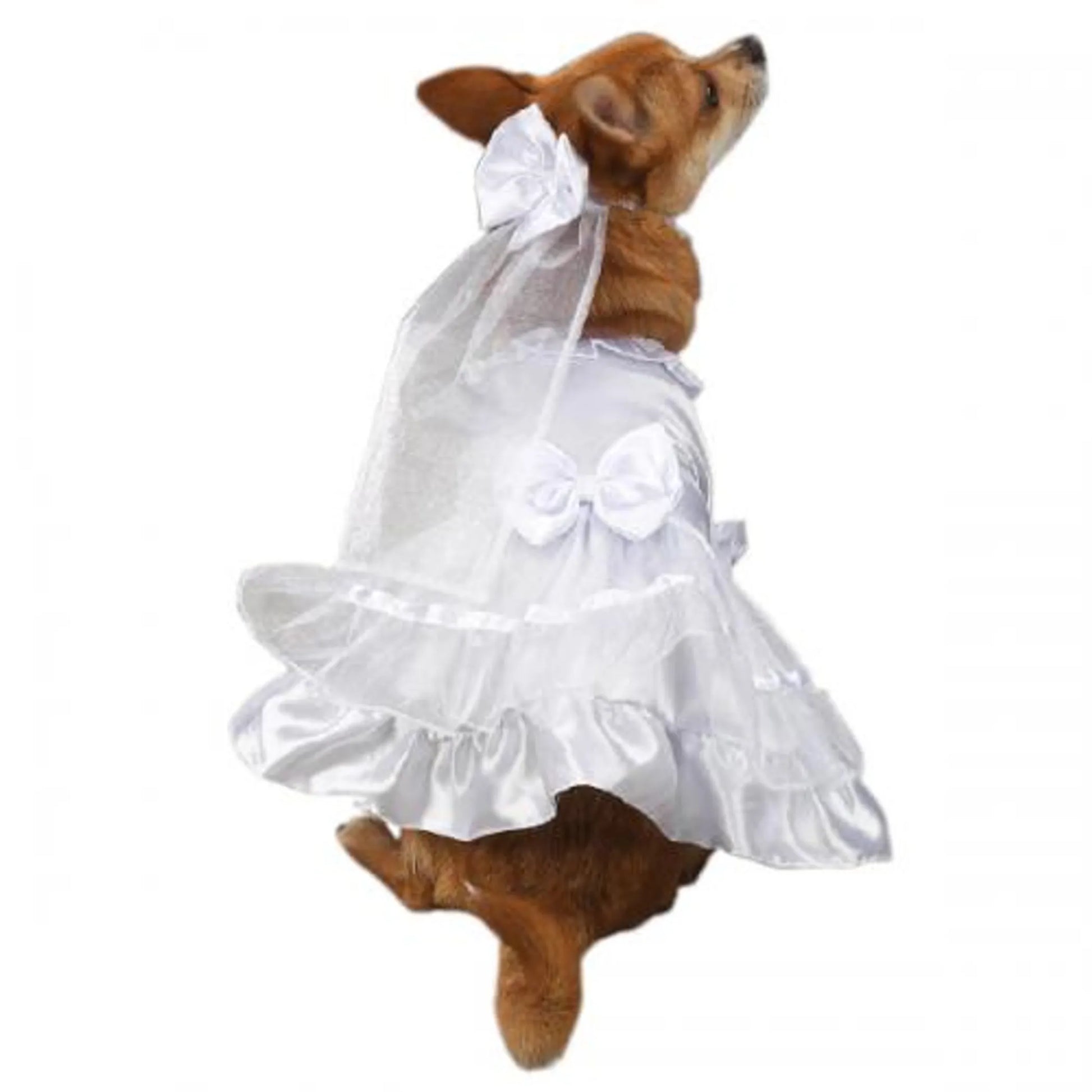 Small dog wearing East Side Coll Yappily Ever After Wedding Dress with bows and sheer veil accessory