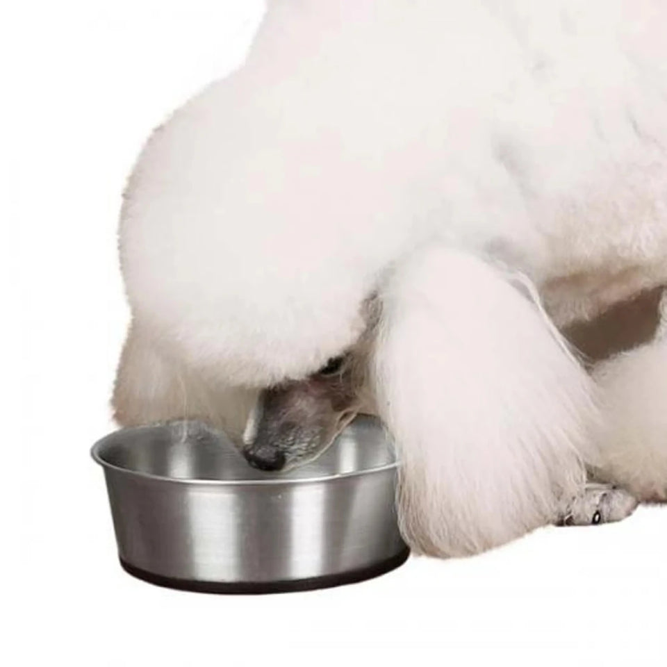 ProSelect Stainless Steel Dog Bowl with Rubber Base, 88 oz - Pets Perfect