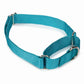 GG Nylon Martingale Collar 10-16In Blk