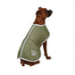 Zack & Zoey Nor'Easter Blanket Dog Coat - Green & Orange