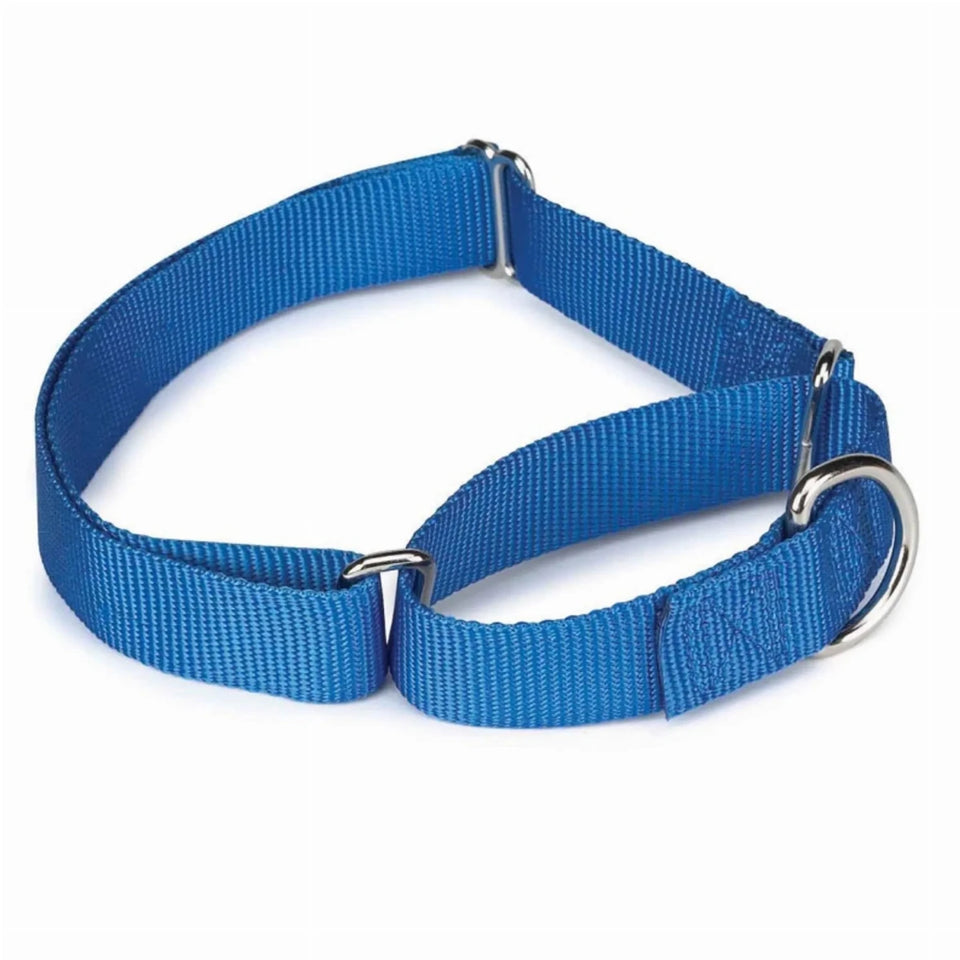 GG Nylon Martingale Dog Collar 10-16 in Black, view 21