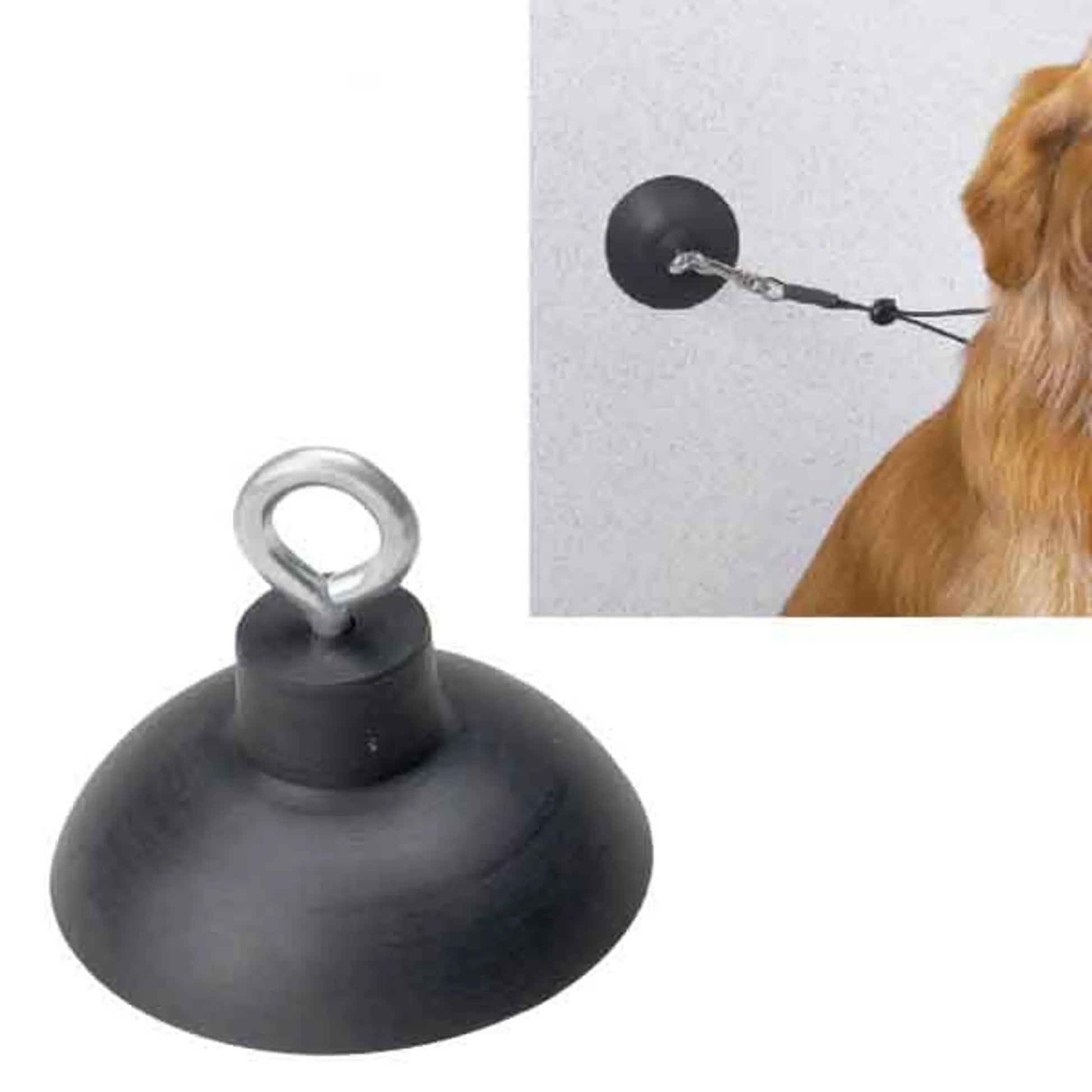 TP Suction Cup - Pets Perfect