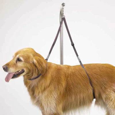 TP Nylon Table Dog Harness 27 in, 1