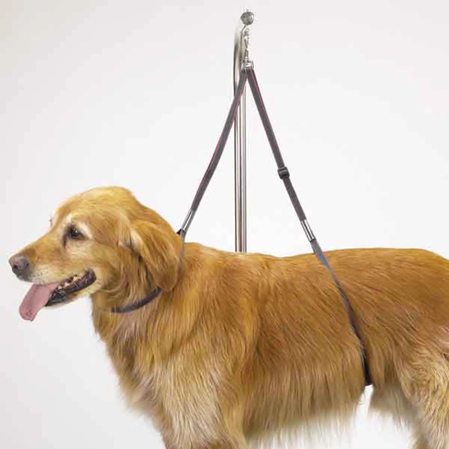 TP Nylon Table Harness 27In - Pets Perfect