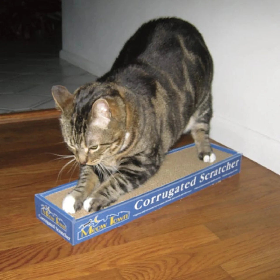 MT Corrugated Scratcher, 19 in