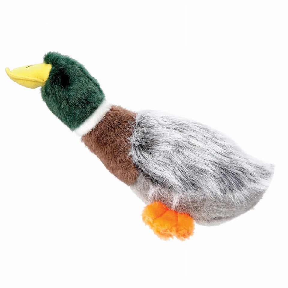 GR Squawk Flock Mallard - Pets Perfect