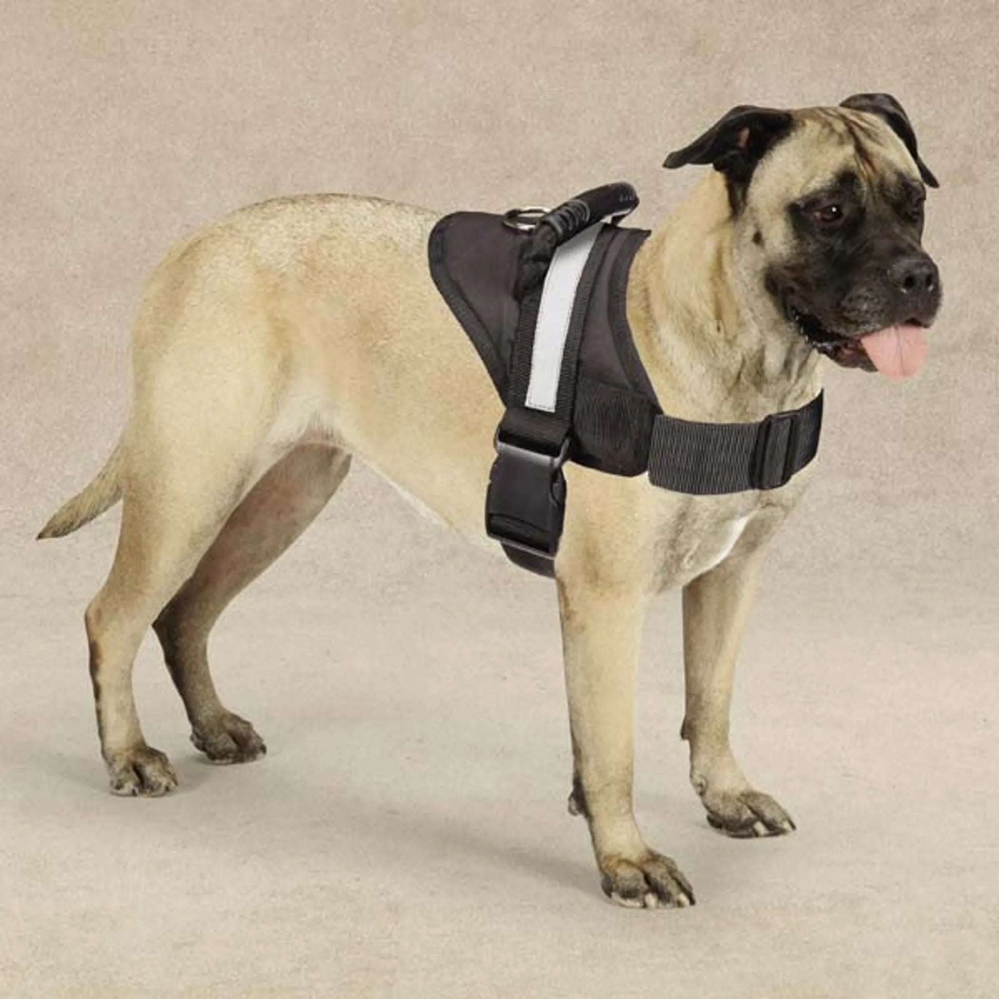 Guardian Gear Excursion Harnesses 36 - 46In - Pets Perfect