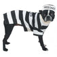 Casual Canine Prison Pooch Costume - Pets Perfect
