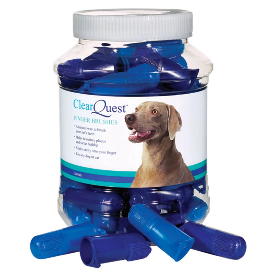 CQ Finger Brush 50 ct - Pets Perfect