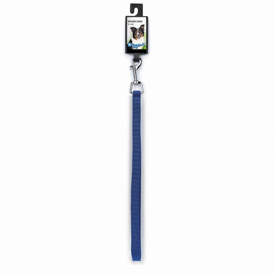 Diggers 1/2 in Nylon Lead 48 in Blue - Pets Perfect