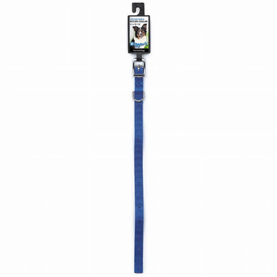 DGR 5/8 in Nylon Dog Collar, 10 in Blue
