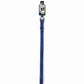 DGR 3/4 in Nylon Dog Collar, 16 in Blue, view 2