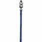 DGR 3/4in Nylon Collar 16in Blue