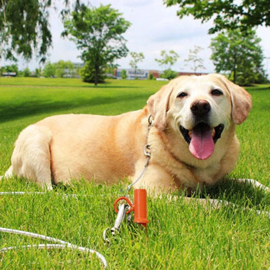 Prestige Interlock 360 Stake - Pets Perfect