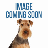 Scruffys Vibrating Mouse Toy - Pets Perfect