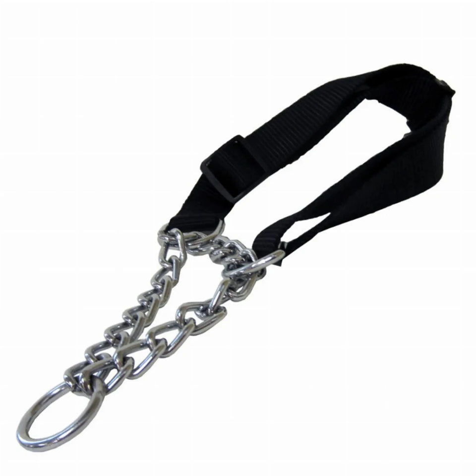 1 in Black Adjustable Martingale - Pets Perfect