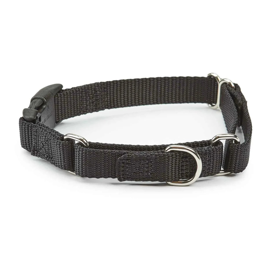 GG Martngle Cllr Quik Rlse 10-16 in Blk - Pets Perfect