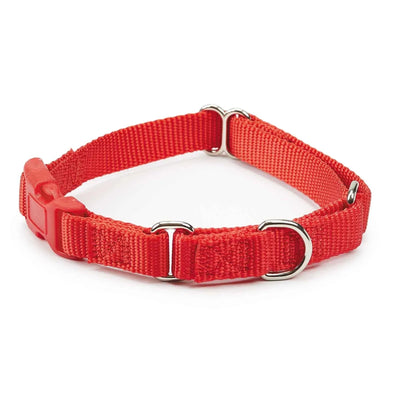 GG Martngle Cllr Quik Rlse 10-16 in Red - Pets Perfect