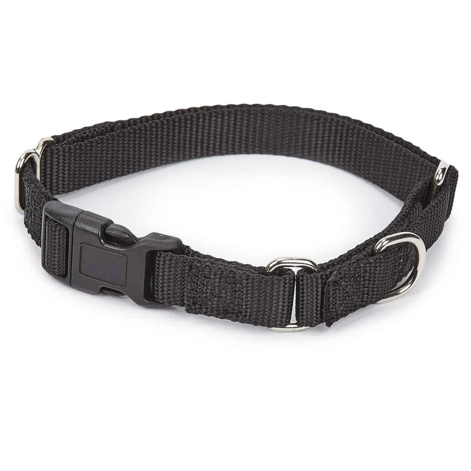 GG Martngle Cllr Quik Rlse 14-20 in Blk - Pets Perfect
