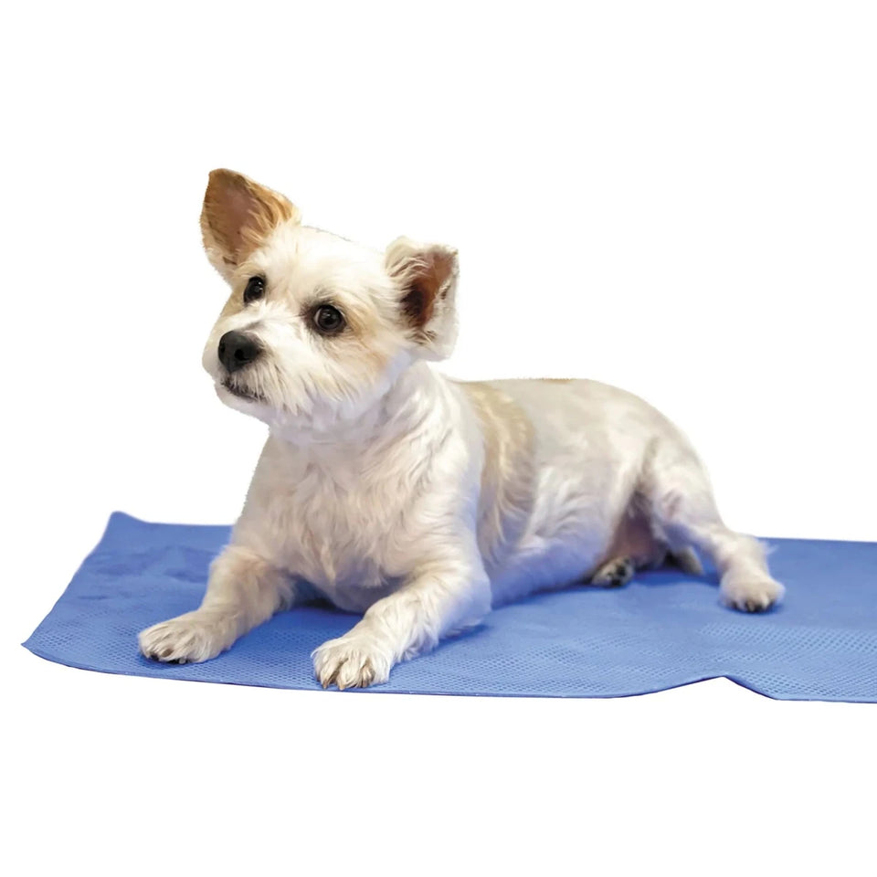 TP Drying and Cooling Towel Blue - Pets Perfect