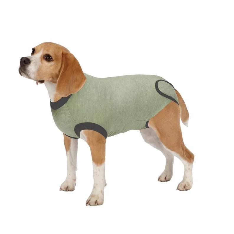 TPH Recovery Suit XX-Large - Pets Perfect