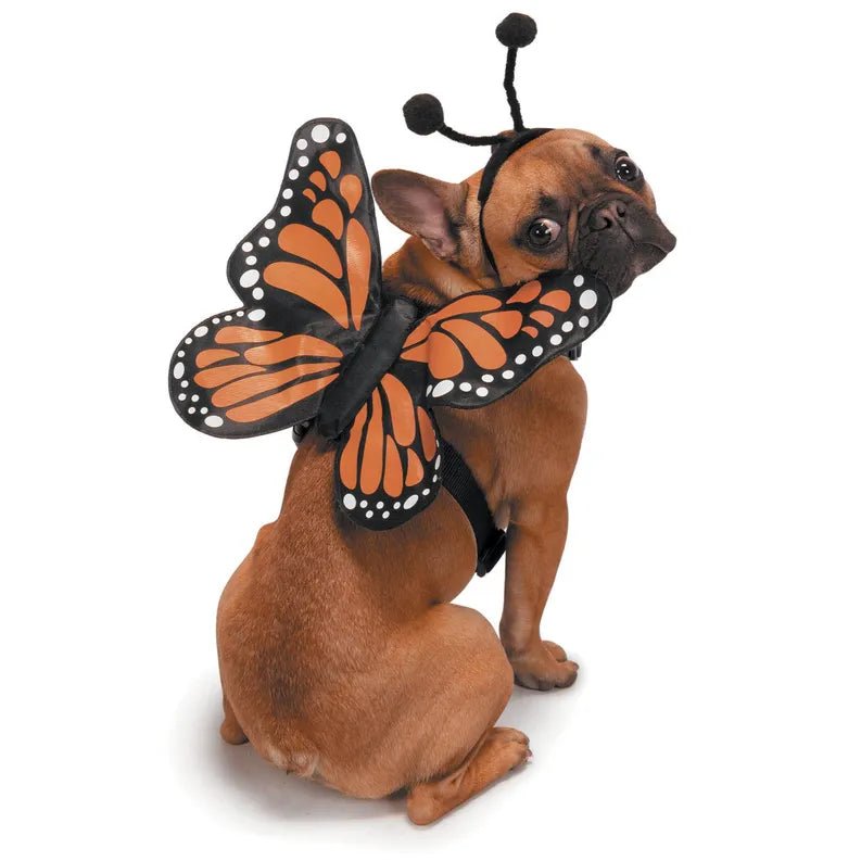ZZ Butterfly NoGlow Dog Harness Costume M - Pets Perfect